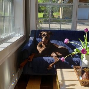 Meet your Posher, Micheline